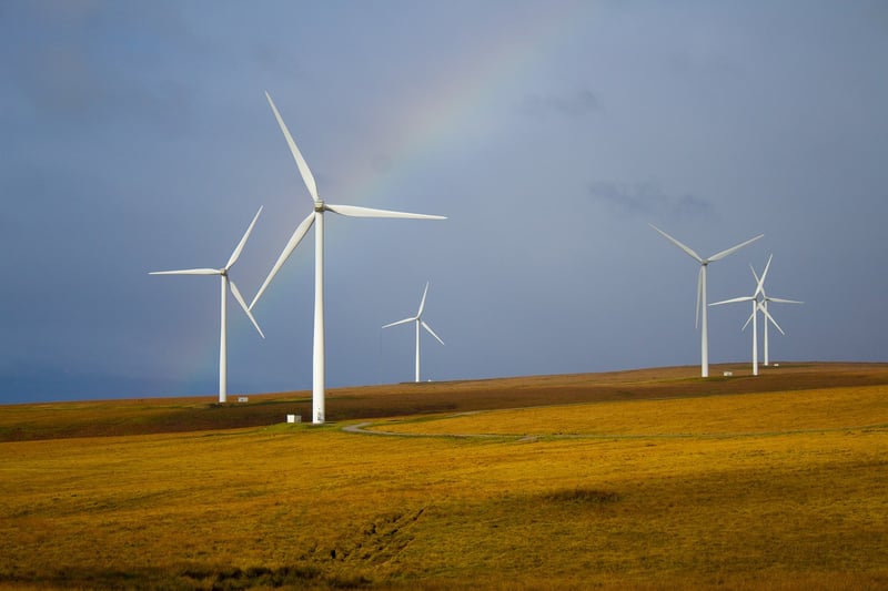 Sustainable Living Ideas