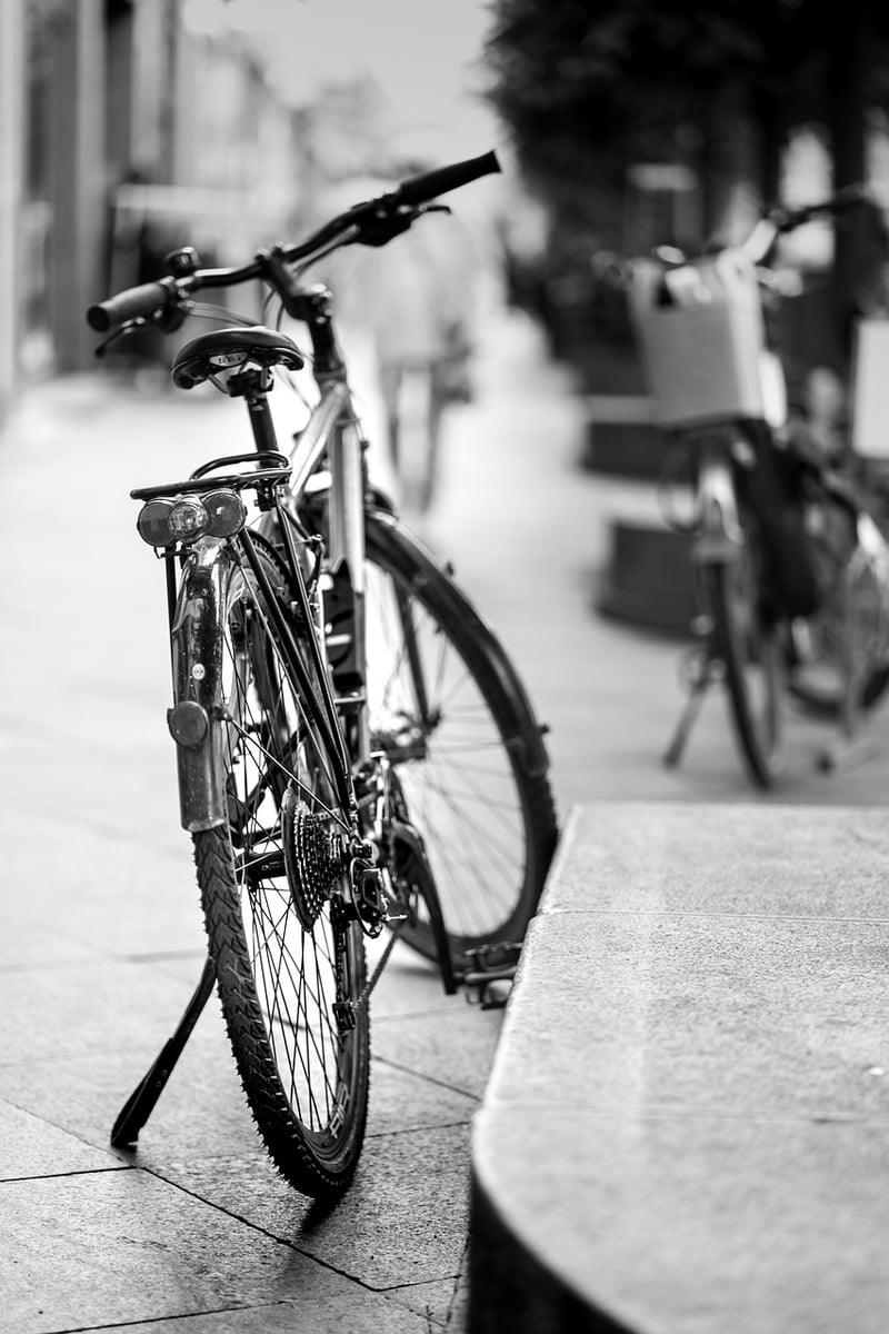 Bicycle Wheel Trellis
